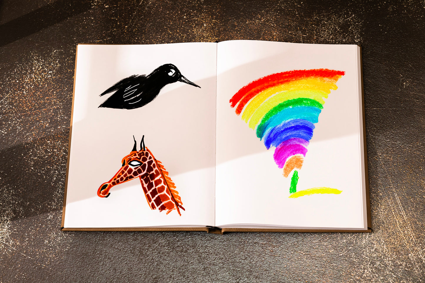 SKETCH BOOK